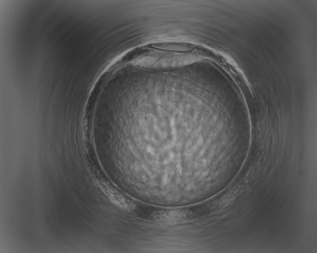 X0000084010879200702232201