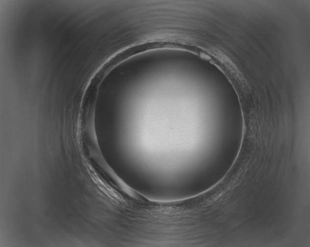 X0000084010880200702232201