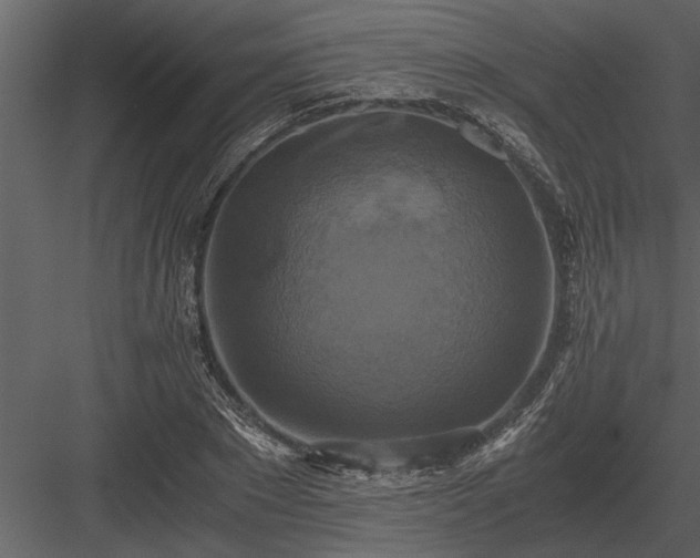 X0000084010881200702232201