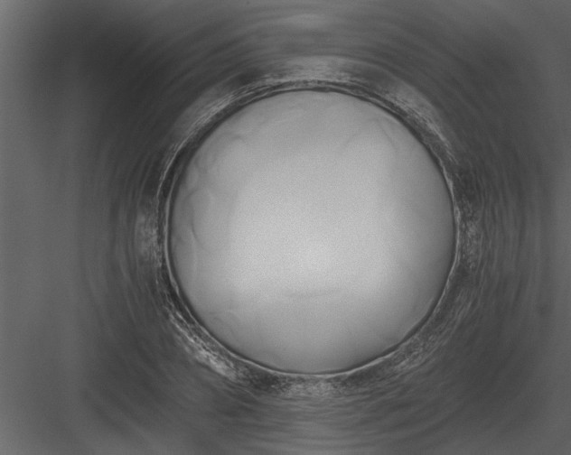 X0000084010882200702232201