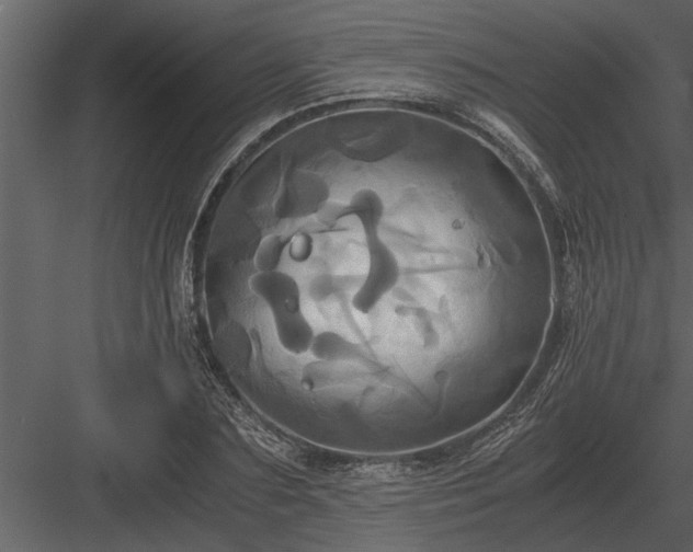 X0000084010883200702232201