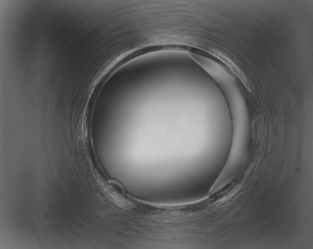 X0000084010885200702232201