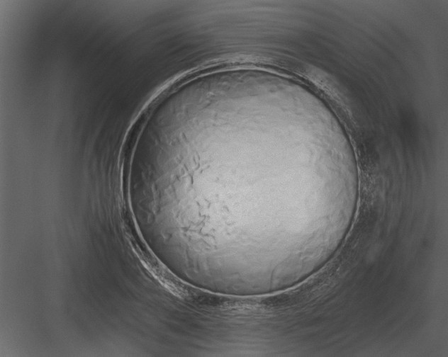 X0000084010886200702232201