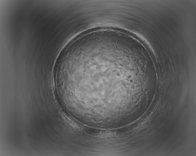 X0000084010887200702232201