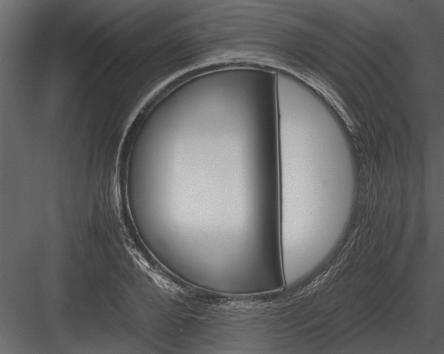 X0000084010888200702232201