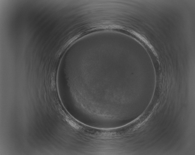 X0000084010889200702232201