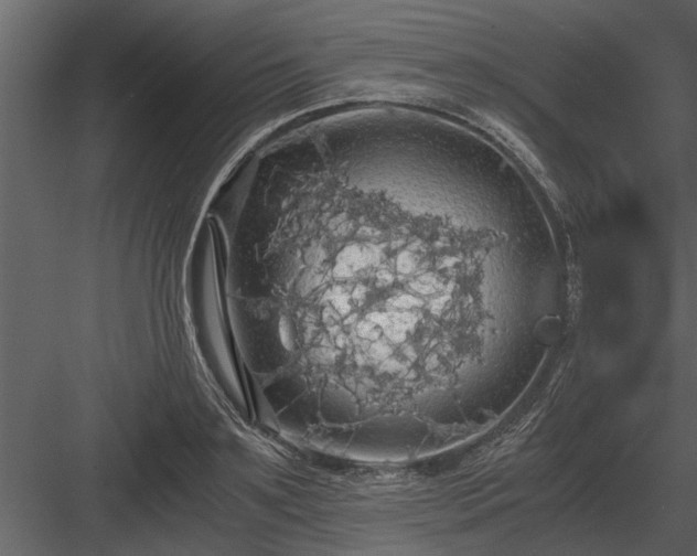 X0000084010891200702232201