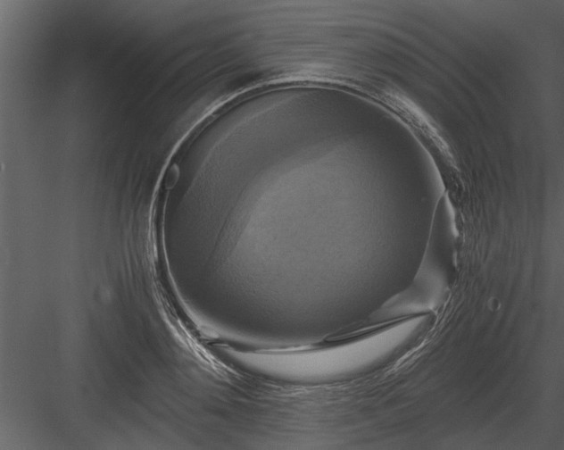 X0000084010892200702232201