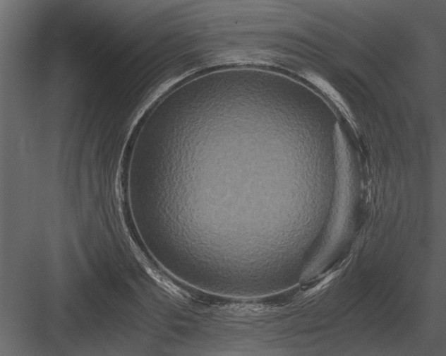 X0000084010893200702232201