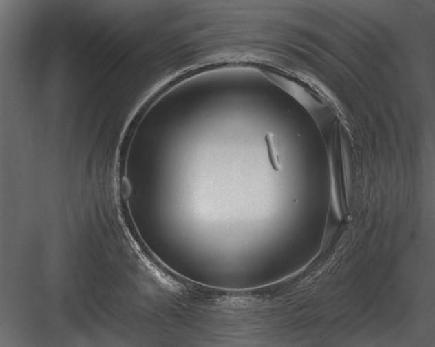 X0000084010894200702232201