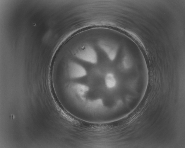 X0000084010895200702232201