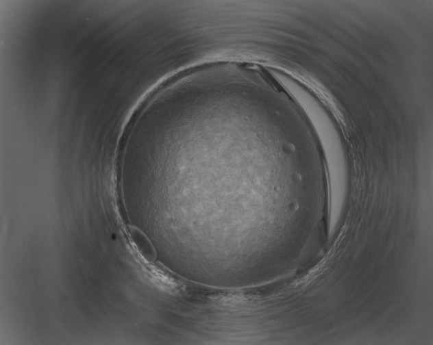 X0000084010896200702232201