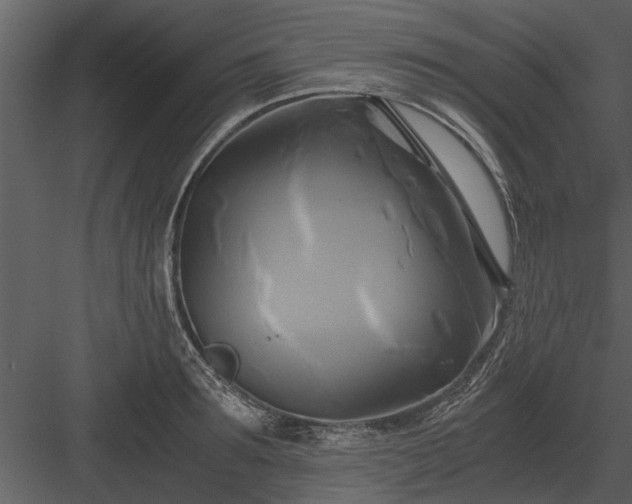 X0000084010899200702232201