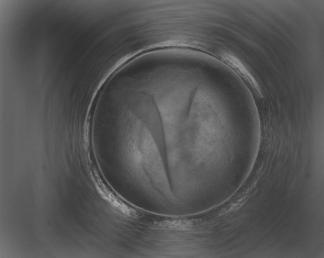 X0000084010900200702232201