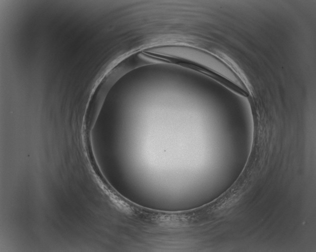 X0000084010901200702232201