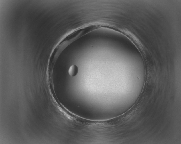 X0000084010902200702232201