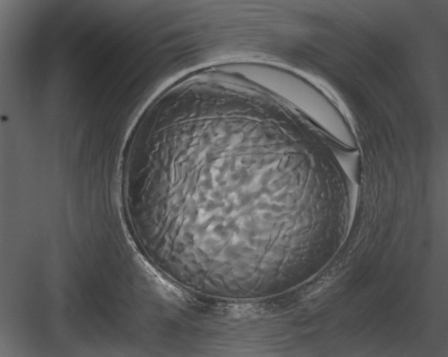 X0000084010903200702232201