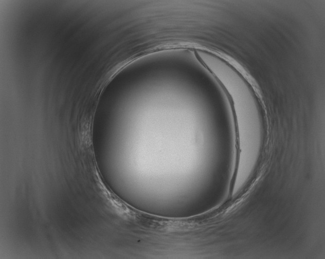 X0000084010905200702232201