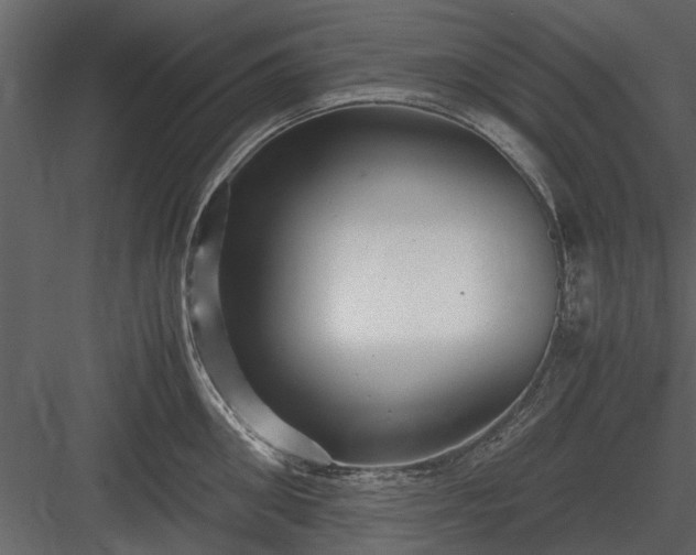 X0000084010906200702232201