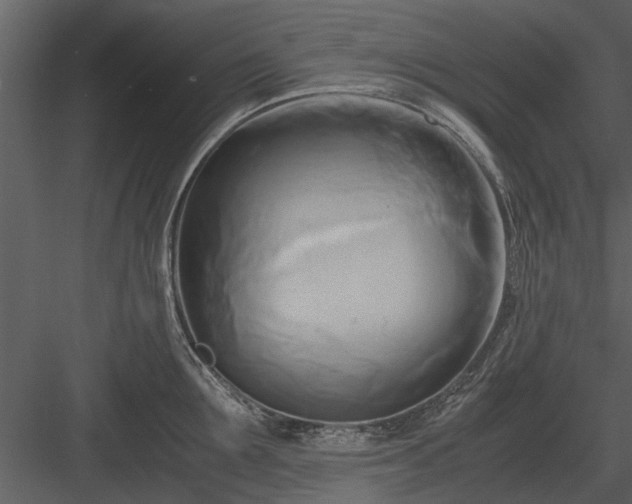 X0000084010907200702232201