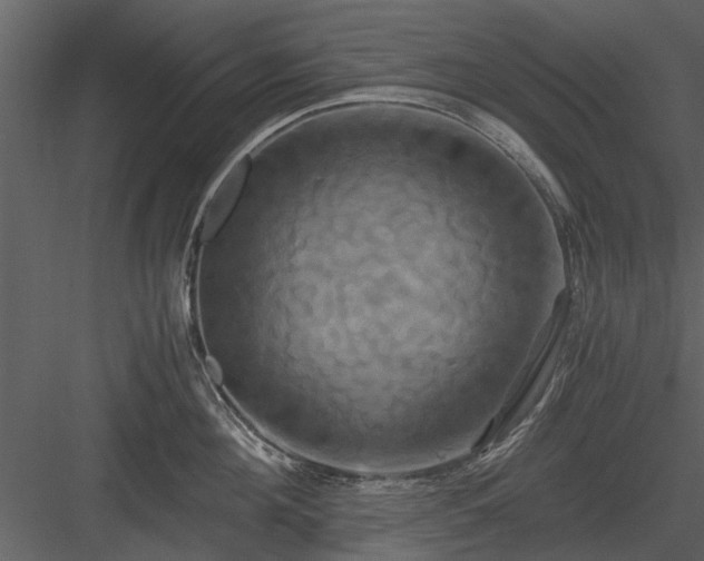 X0000084010908200702232201