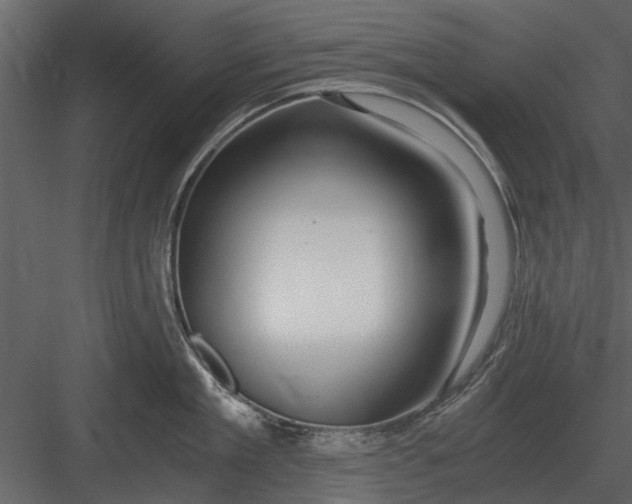 X0000084010909200702232201