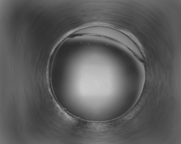 X0000084010910200702232201