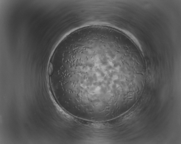 X0000084010911200702232201