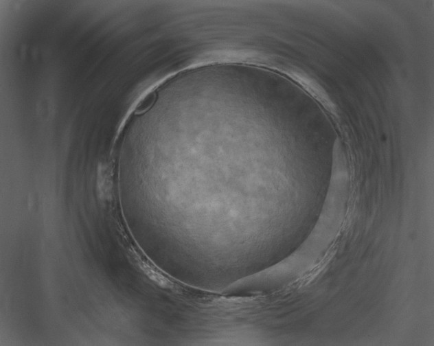 X0000084010912200702232201