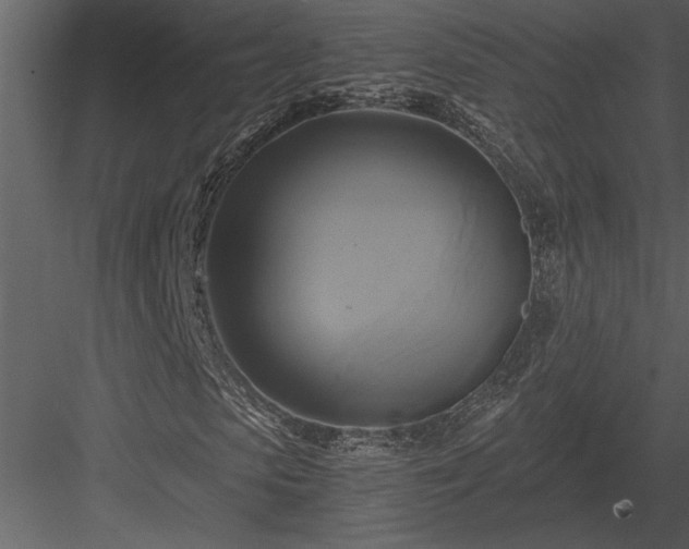 X0000084010913200702232200