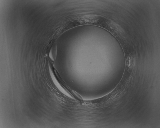 X0000084010915200702232200