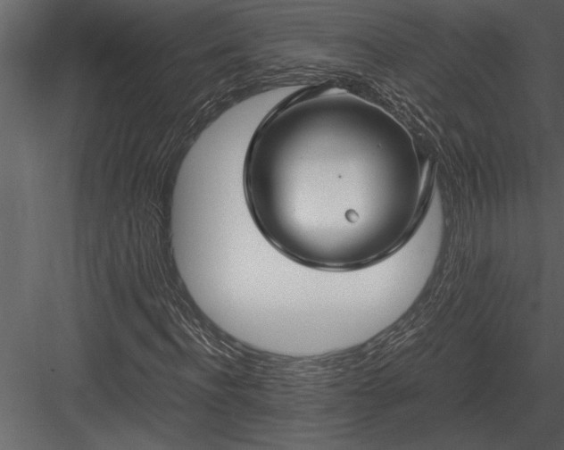 X0000084010916200702232200