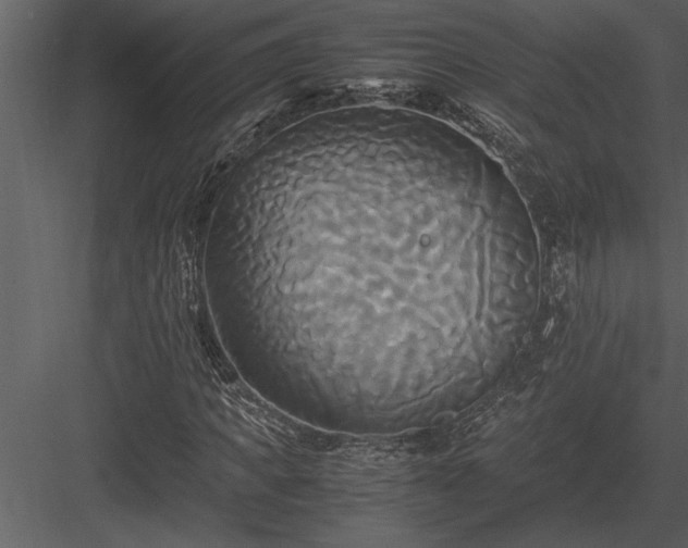 X0000084010917200702232200