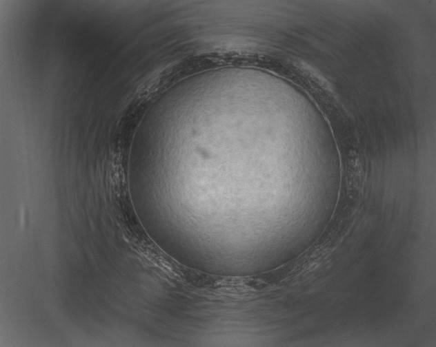 X0000084010918200702232200