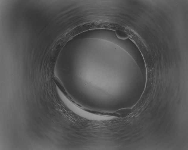 X0000084010919200702232200