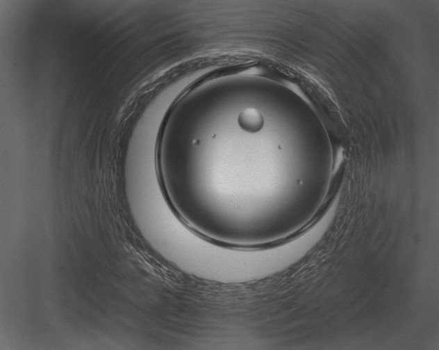 X0000084010920200702232200