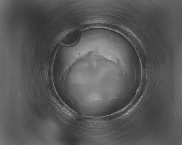 X0000084010921200702232200