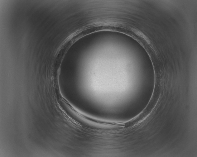 X0000084010922200702232200