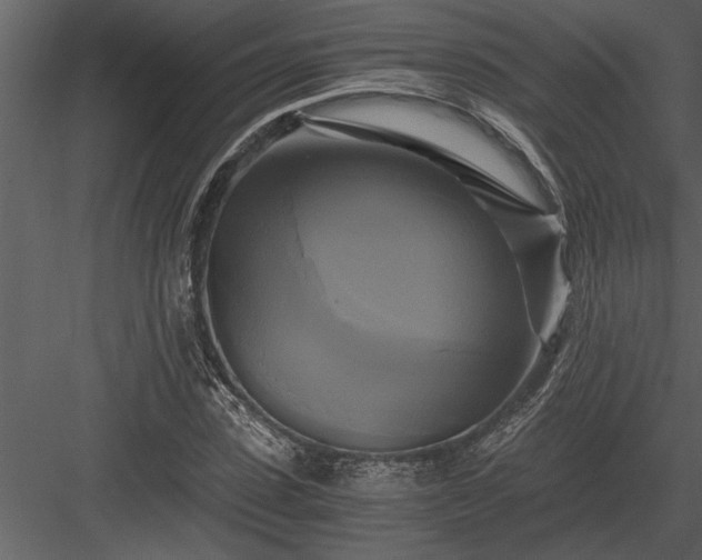 X0000084010923200702232200