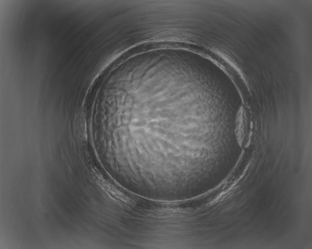 X0000084010925200702232200