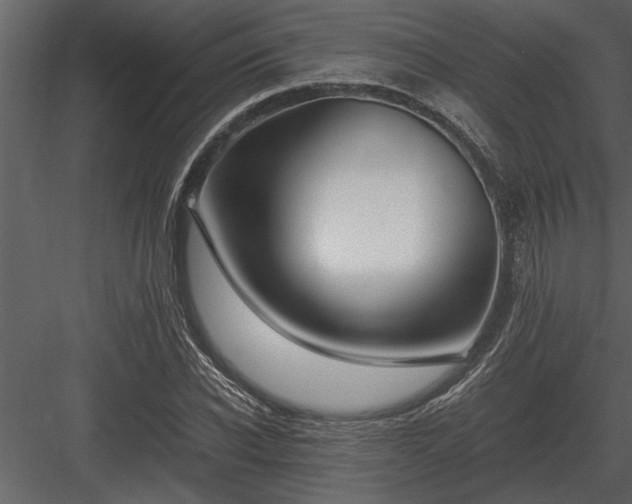 X0000084010926200702232200