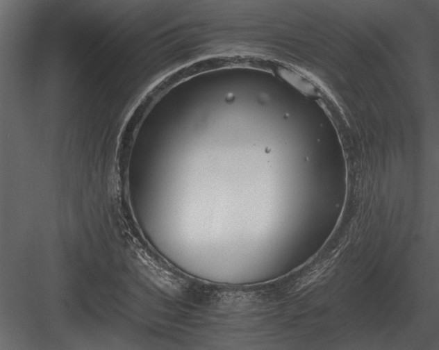 X0000084010927200702232200