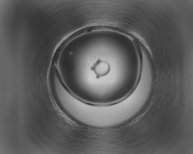 X0000084010928200702232200