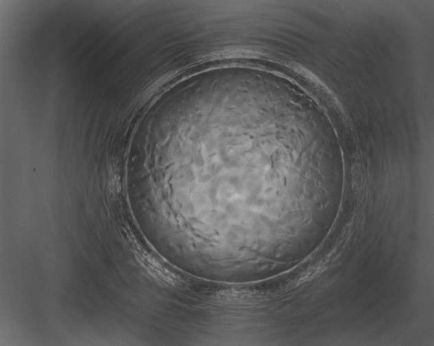 X0000084010929200702232200