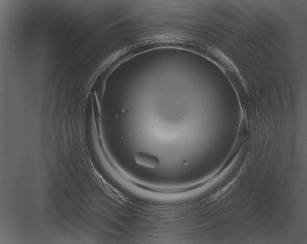 X0000084010930200702232200