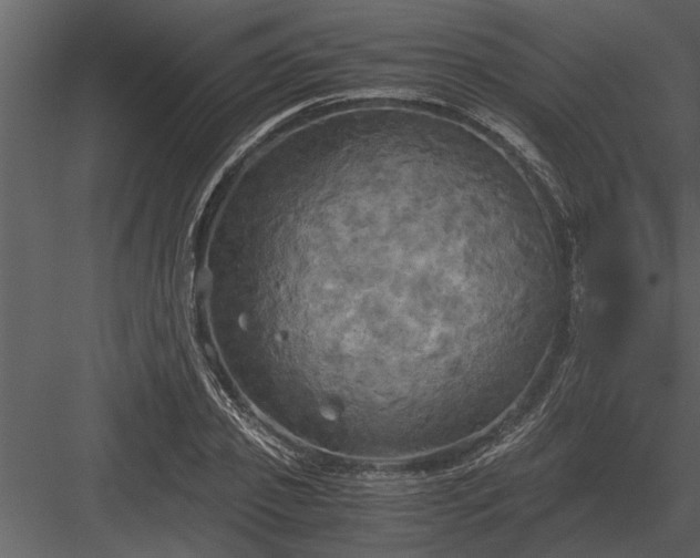 X0000084010933200702232200