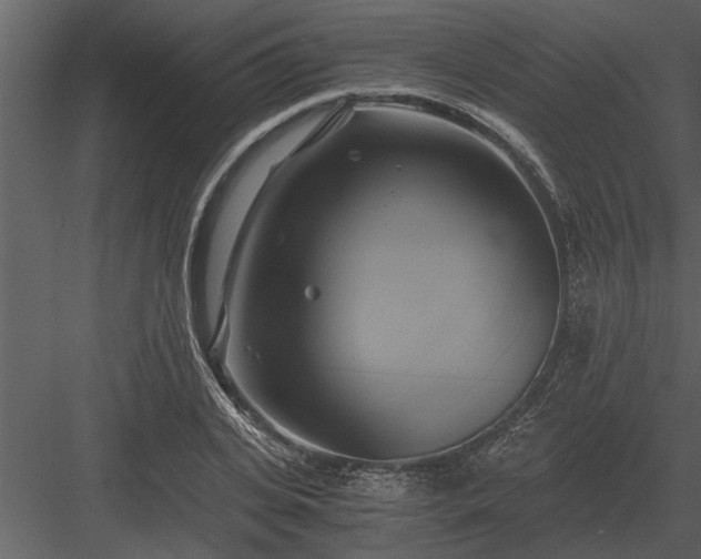 X0000084010935200702232200