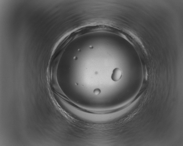 X0000084010936200702232200