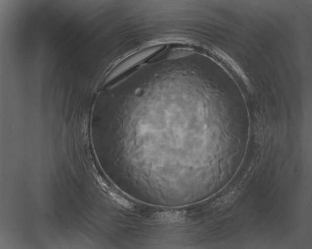 X0000084010937200702232200