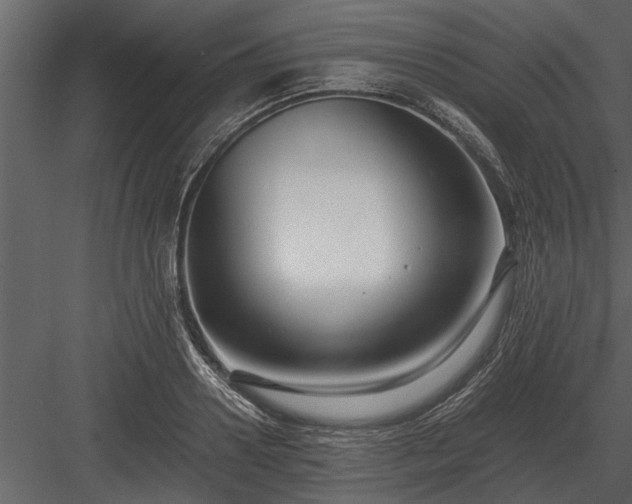 X0000084010938200702232200